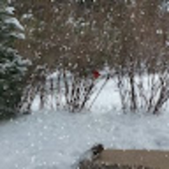 Meet your Posher, Jesse - Picture 1 of 1